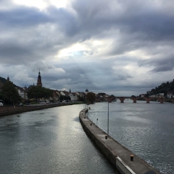 wsf-tw-mannheim-natur-2