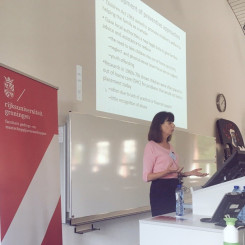 Prof. Nina Biehal explaining developments in the English child protection system